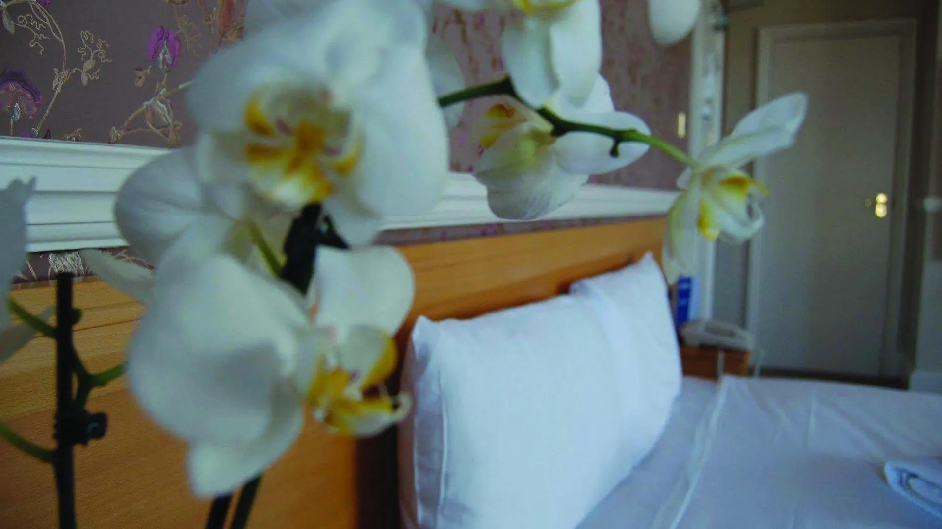 The Brighton Hotel Regno Unito